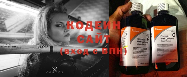 2c-b Заводоуковск
