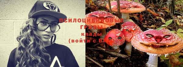 ALPHA PVP Дмитров
