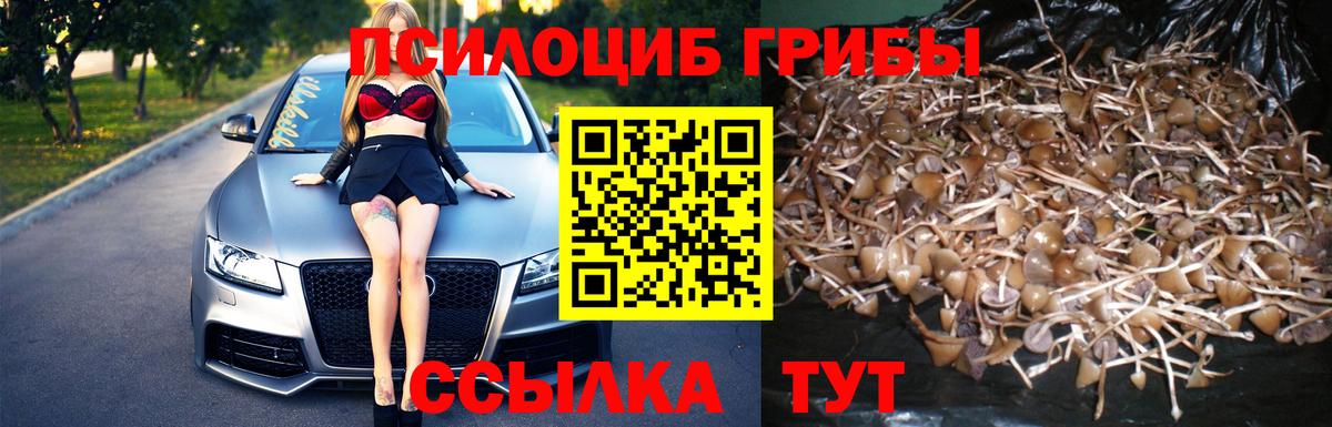 Галлюциногенные грибы мухоморы Мариинск